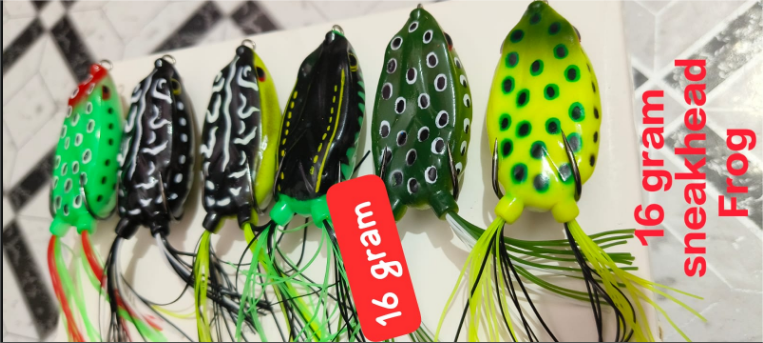 Frog 15g